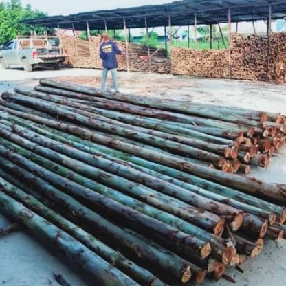 ร้านขายไม้ยูคาศรีราชา - ไม้ยูคา ไม้แบบก่อสร้าง ชลบุรี