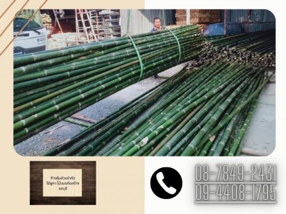 ไม้ไผ่ ชลบุรี - ไม้ยูคา ไม้แบบก่อสร้าง ชลบุรี