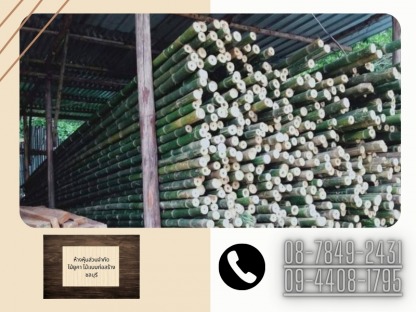 ไม้ไผ่ศรีราชา - ไม้ยูคา ไม้แบบก่อสร้าง ชลบุรี