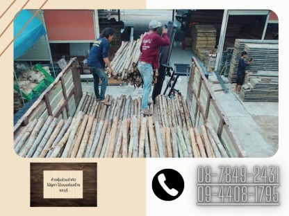 ไม้ยูคาใกล้ฉัน ชลบุรี - ไม้ยูคา ไม้แบบก่อสร้าง ชลบุรี