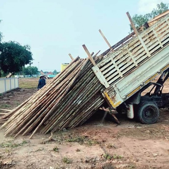 ขายส่งไม้ยูคา ชลบุรี ขายส่งไม้ยูคา ชลบุรี  ขายส่งไม้ ชลบุรี 